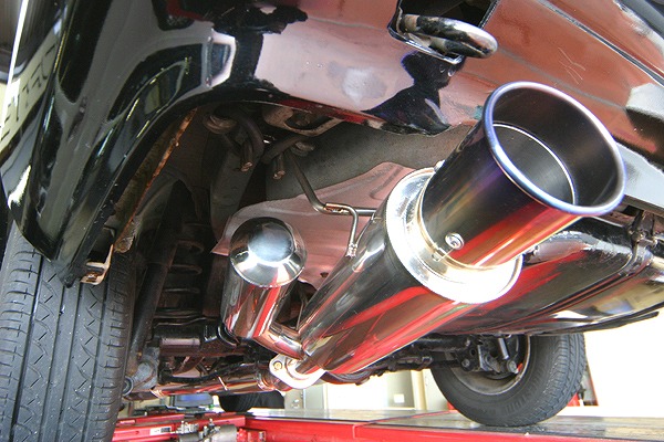 GPݡ EXAS EVO Tune ޥե顼 ȥ ӥ 250150