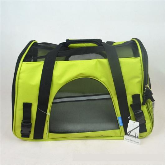 ڥå ݡ֥ Хå Хå ѥå  ǭ ꥢ ι ϥ Fruit green 顼b 󥵥 AL-AA-2666 顼b 󥵥 AL