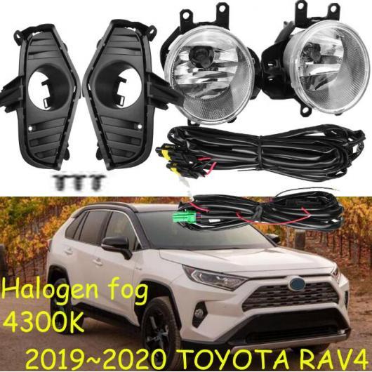 ѥ饤 2019-2020 Хѡ إåɥ饤 Ŭ: ȥ西 RAV 4 RAV4 ե饤 ϥ Х 4300K 磻䡼 ϡͥ إåɥ ե 001 ȥ西 RAV4 2019-2020 ϥХ 4300K AL-OO-0698 AL