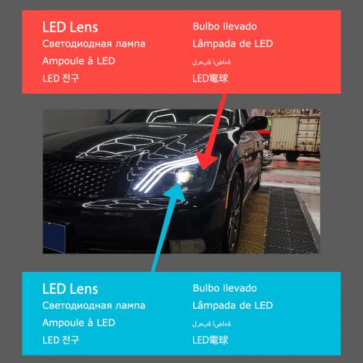 ѥ饤 إå  Ŭ: ȥ西 饦 LED إåɥ饤 2005-2009 إåɥ饤 饦 DRL 󥫡 ϥ ӡ 󥸥  ץ  ե LED AL-OO-8207 AL