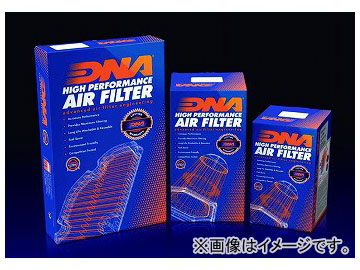 ƥ DNA ȥե륿 P-AG10N13-01 JAN4538792752068 MV ֥륿R989 2008ǯ2009ǯ