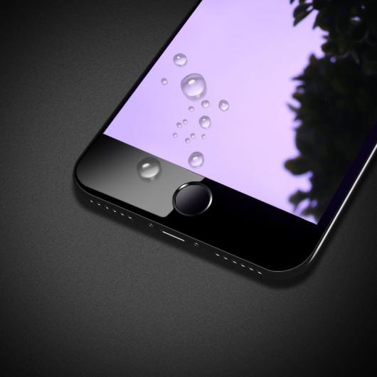 BIRDROOMե륫Хå ꡼  ֥롼ץƥ iPhone X 5 5s 5C 6 6s Plus 8 7 7Plus SE  饹 ݸ ե 롼2 ٤3Ŭ AL-AA-1551 AL