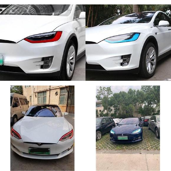 ѥ饤 ƥ/TESLA ƥ/TESLA ǥ X /S ǥ˥󥰥饤  ե ֥  إåɥ饤 ե ɻ ݸ ǥ X åɥڥǥ S ֥롼ڥ AL-OO-1086 AL