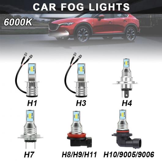  H1 H3 H4 H7 H8 H9 H10 9005 9006 80W CAN-BUS LED Х ե饤 إåɥ饤 3570 2SMD 4000LM ˥ 饤  ȥХ  H8 H9 H11H4 AL-RR-4336 AL