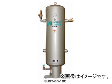 ͥȴ/ANEST IWATA ƥ쥹 ̡65L SUST-65-100