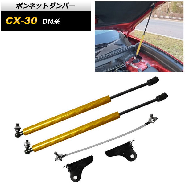 ܥͥåȥѡ ޥĥ CX-30 DM 2019ǯ10 ܥ AP-4T1669-LYC