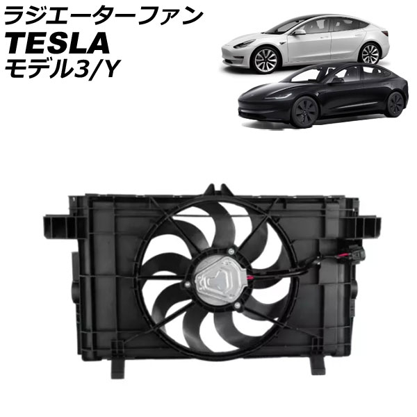 饸ե ǥ3 ǥY AP-4T2381