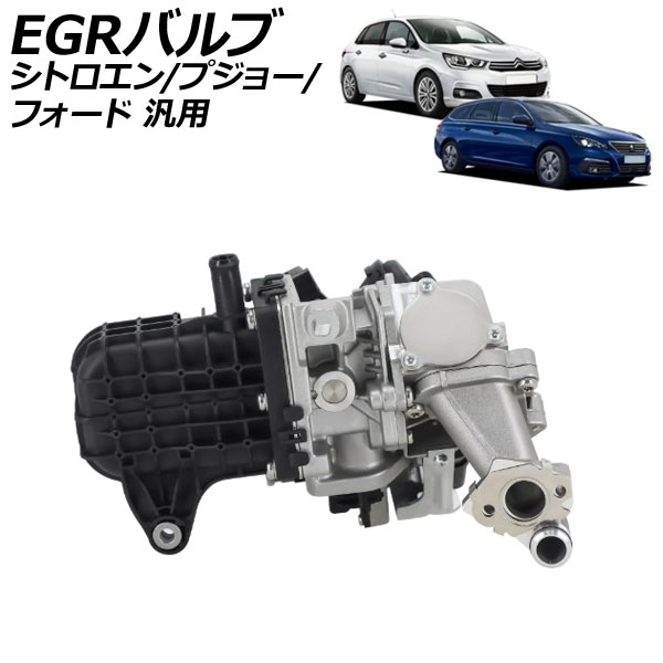 EGRХ ȥ ץ硼 ե  C4 308 ե ʤ AP-4T3725