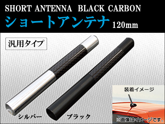 硼ȥƥ 120mm ٤2顼 AP-ATENA-C
