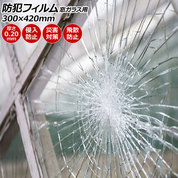 ȥե 륬饹 ꥢ PET 300420mm 0.20mm к 1å(2) AP-BC-SF08-3042