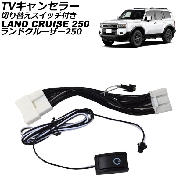 TV󥻥顼 ȥ西 ɥ롼250 250 2024ǯ04 ڤؤåդ AP-EC863