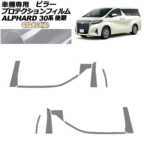 ץƥե ԥ顼 ȥ西 ե 30  2018ǯ012023ǯ05 饤ȥ⡼ 1å(10) AP-PF0236-LSM01