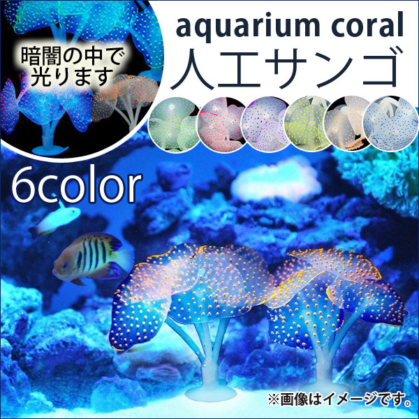 ꥦ ͹ ꥳ ץ꡼ С ٤6顼 AP-PP0003