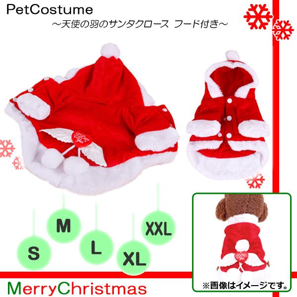 AP ڥåȥ ŷȤαΥ󥿥 ադ MerryChristmas ٤5 AP-PP0011 - ɥĤ