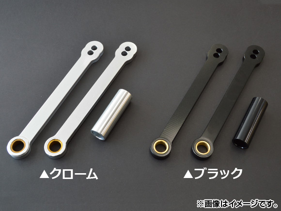 󥰥 ۥ CBR1000RRCBR600RR ٤2顼 AP-T008