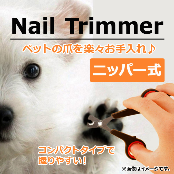AP ͥȥޡ ƥ쥹  ǭ ڥåȤޤڡåȡ AP-TH324