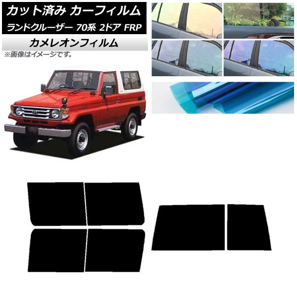 ե ȥ西 ɥ롼 70 2ɥ FRP 1984ǯ2004ǯ ꥢå(1緿) 쥪 ٤3ե५顼 AP-WFCM0088-RDR1D