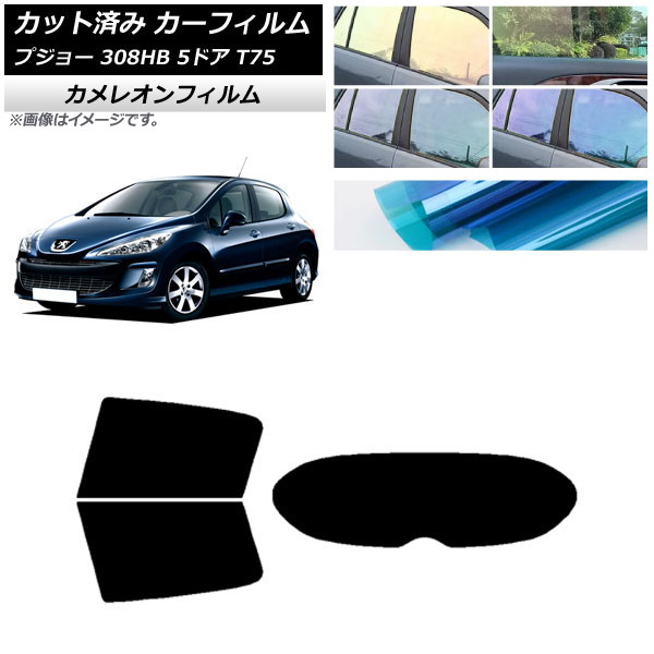 ե ץ硼 308 T75 5ɥ 2008ǯ2014ǯ ꥢå(1緿) 쥪 ٤3ե५顼 AP-WFCM0353-RDR1