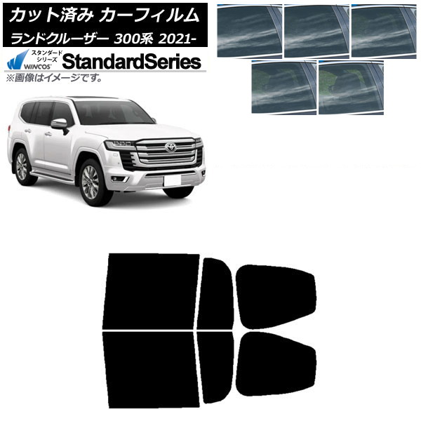 ե ȥ西 ɥ롼 300 2021ǯ08 ꥢɥå WINCOS  ٤5ե५顼 AP-WFGY0087-RD