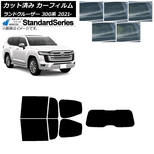 ե ȥ西 ɥ롼 300 2021ǯ08 ꥢå(1緿) WINCOS  ٤5ե५顼 AP-WFGY0087-RDR1
