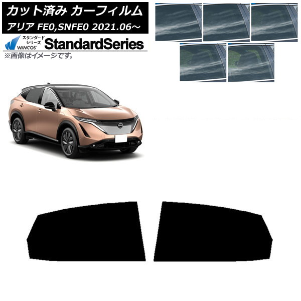 ե  ꥢ FE0,SNFE0 2021ǯ06 ꥢɥå WINCOS  ٤5ե५顼 AP-WFGY0390-RD