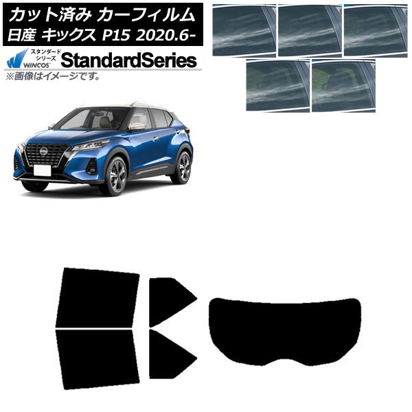 ե  å P15/SNP15/RP15 2020ǯ06 ꥢå(1緿) WINCOS  ٤5ե५顼 AP-WFGY0426-RDR1