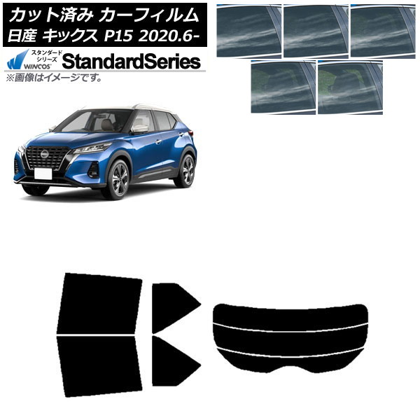 ե  å P15/SNP15/RP15 2020ǯ06 ꥢå(ʬ) WINCOS  ٤5ե५顼 AP-WFGY0426-RDR3