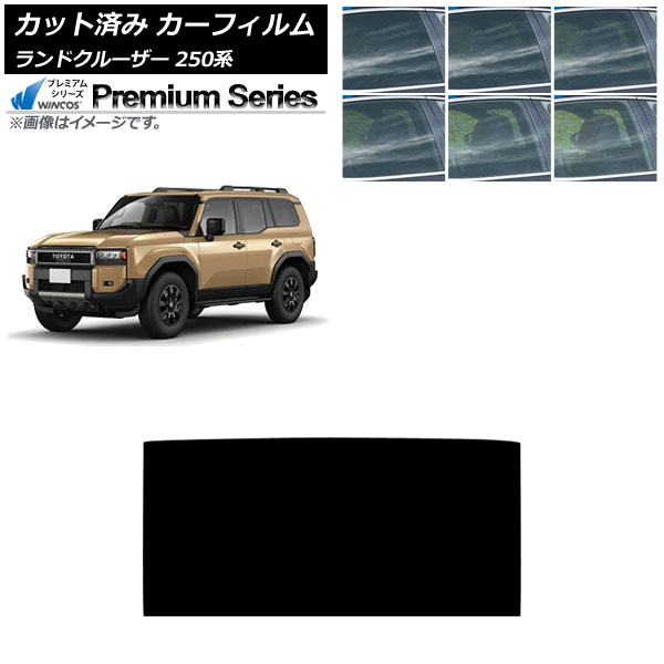 ե ȥ西 ɥ롼250 250 2024ǯ04 롼 WINCOS ץߥ ٤6ե५顼 AP-WFHC0455-S