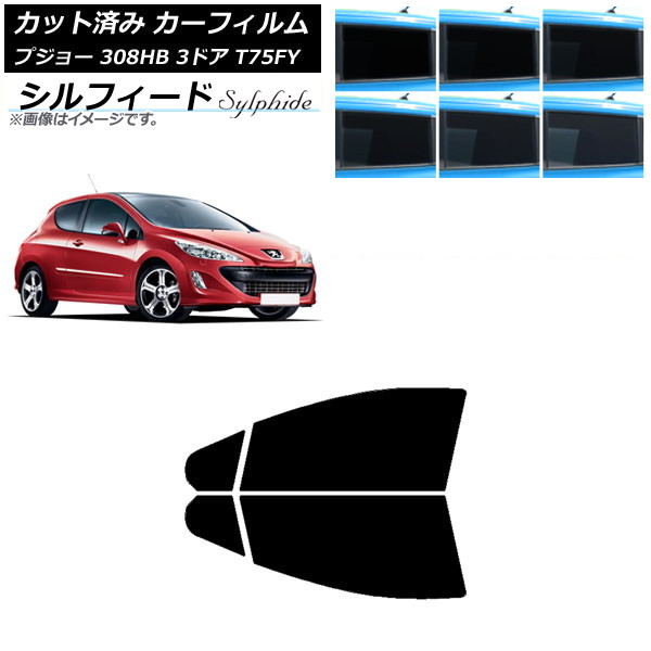 ե ץ硼 308 T75FY 3ɥ 2008ǯ2014ǯ եȥɥå ե ٤6ե५顼 AP-WFSC0352-FD