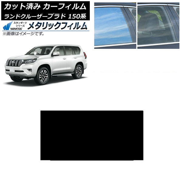 ե ȥ西 ɥ롼ץ 150 2009ǯ09 롼 WINCOS ᥿å IR70HD AP-WFWM0082-S