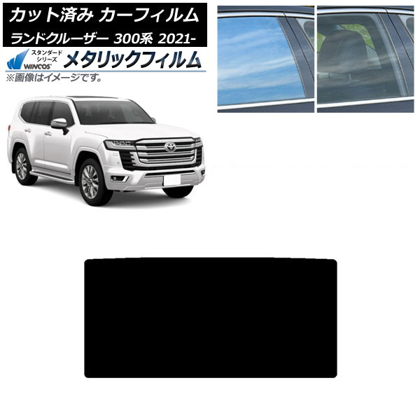 ե ȥ西 ɥ롼 300 2021ǯ08 롼 WINCOS ᥿å SL18 AP-WFWM0087-S
