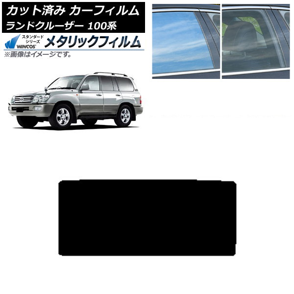 ե ȥ西 ɥ롼 100 1998ǯ2007ǯ 롼 WINCOS ᥿å SL18 AP-WFWM0092-S