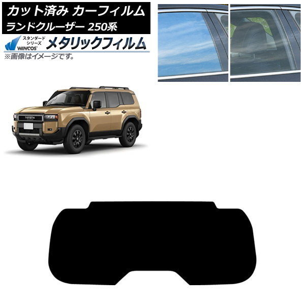 ե ȥ西 ɥ롼250 250 2024ǯ04 ꥢ饹(1緿) WINCOS ᥿å IR70HD AP-WFWM0455-R1