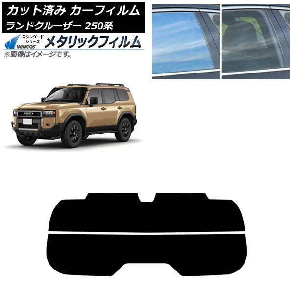ե ȥ西 ɥ롼250 250 2024ǯ04 ꥢ饹(ʬ) WINCOS ᥿å IR70HD AP-WFWM0455-R2