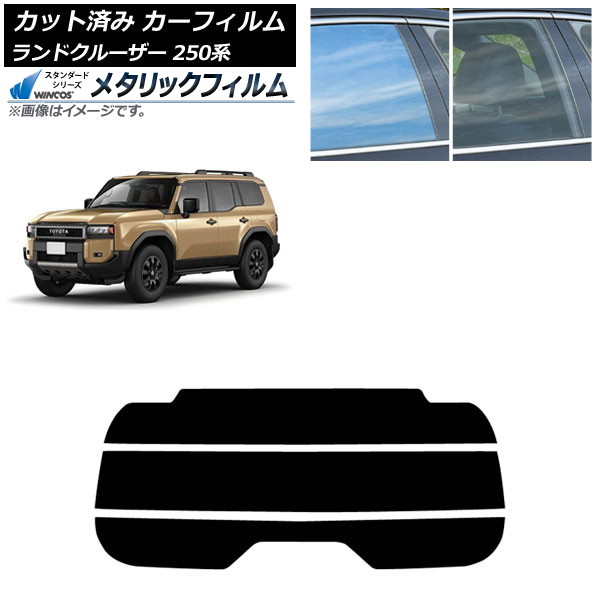 ե ȥ西 ɥ롼250 250 2024ǯ04 ꥢ饹(ʬ) WINCOS ᥿å IR70HD AP-WFWM0455-R3