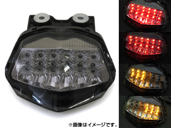 LEDơ 掠 ˥󥸥ZX250R 2008ǯ2010ǯ ⡼ AP-BP-304-SM