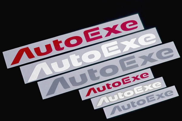 ȥ/AutoExe ƥå ۥ磻 L(55056mm) A11200-04