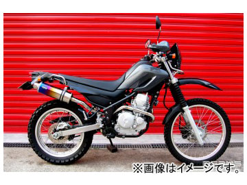 ӡॹ SS300 åץ ե륨 B216-09-003 JAN4582285323471 ޥ 250 BA-DG11J 2005ǯ2007ǯ