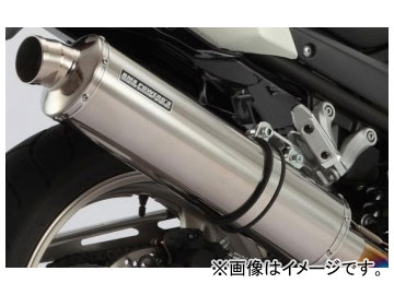 ӡॹ BMS-R ƥե륨 R-EVO  ݥå RACING TYPE D305-53-S2S JAN4582285333685 120  Хǥå1250S/ABS EBL-GW72A
