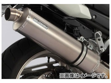 ӡॹ BMS-R ƥե륨 R-EVO  å RACING TYPE D305-53-S3S JAN4582285333692 120  Хǥå1250S/ABS EBL-GW72A