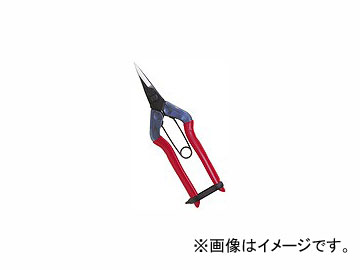 /CHIKAMASA Ŧ Ȣ T-501 JAN4967645042702