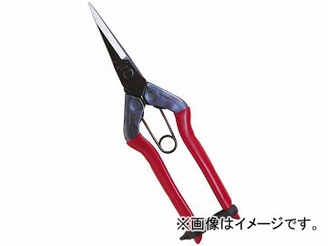 /CHIKAMASA BP T-550 JAN4967645011302