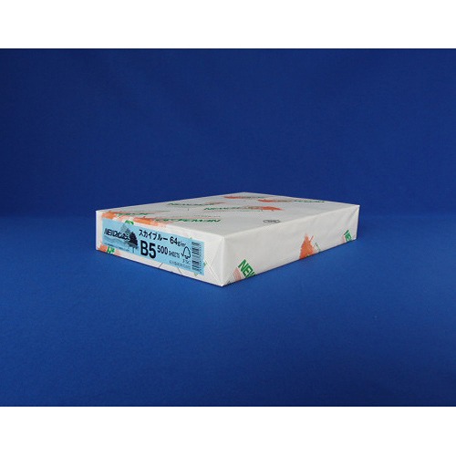 ̱۵ NEWե󥫥顼 ֥롼 B5Ƚ 1(500) (72936)