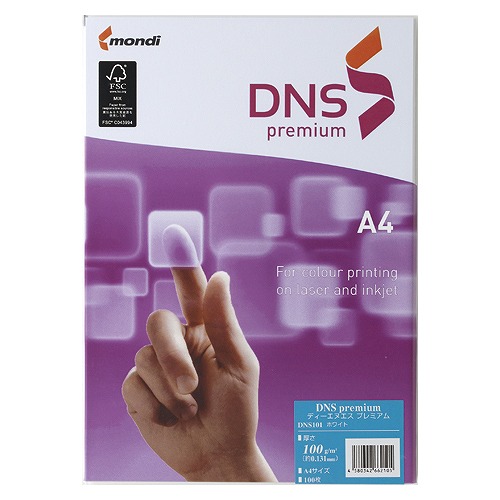 첰 DNS premium A4 100g DNS101(32470)