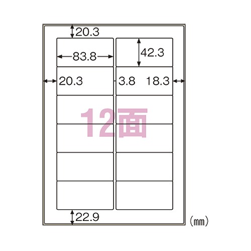 ҥ ѥ٥ A4 12 KLP861S(24328)