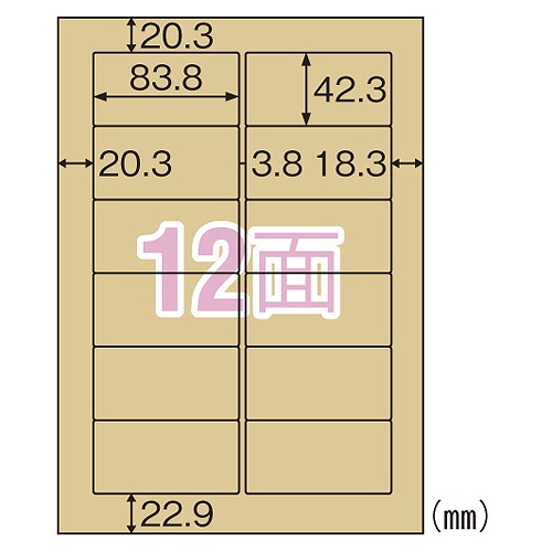 ҥ եȻ٥饤 饤ȥ֥饦 A4 12 OPC861(38813)