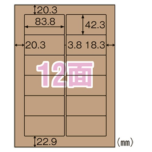 ҥ եȻ٥ ֥饦 A4 12 OPD861(38810)