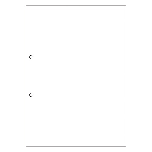 ҥ ޥץĢɼ A4 Ρܥ  2  FSCF2001Z(48758)
