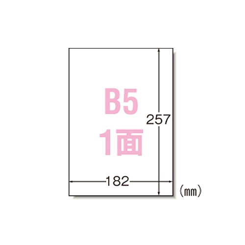 (A-one) ٥륷 ץ󥿷 B5 Ρå 1ѥå(100) 28421(36324)