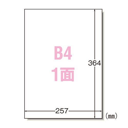 (A-one) ٥륷 ץ󥿷 B4 Ρå 1ѥå(100) 28423(37318)